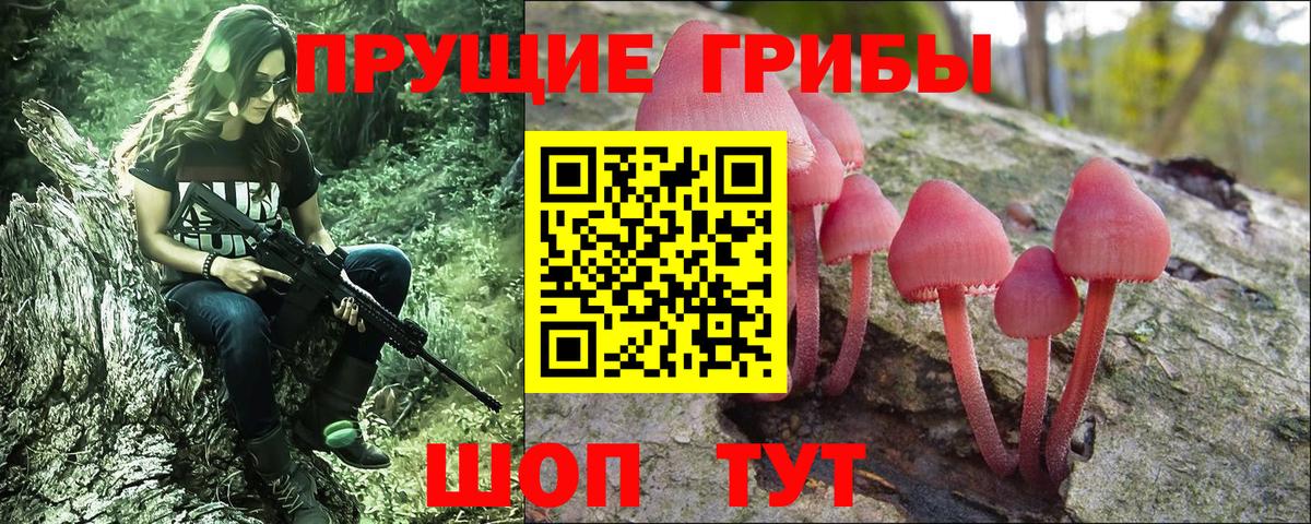 Галлюциногенные грибы прущие грибы Краснокаменск