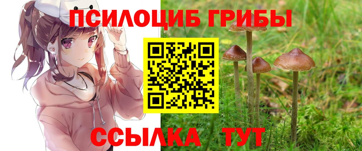 Краснокаменск  Галлюциногенные грибы GOLDEN TEACHER  Вход с VPN 